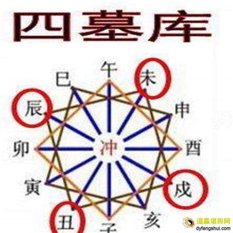 辰戌丑未 四庫|精論八字中的庫墓